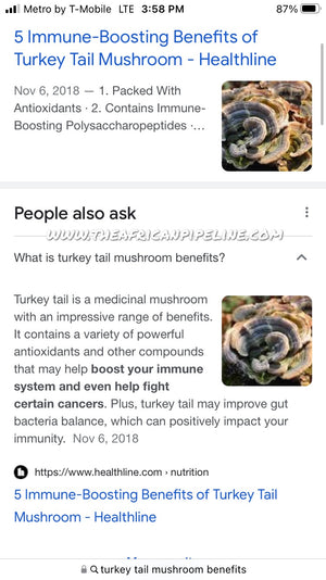 Lionsmaine & Turkeytail Mushroom Capsules